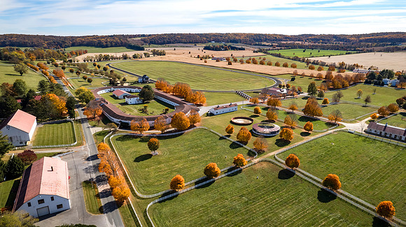 11-20241027-DJI_0533