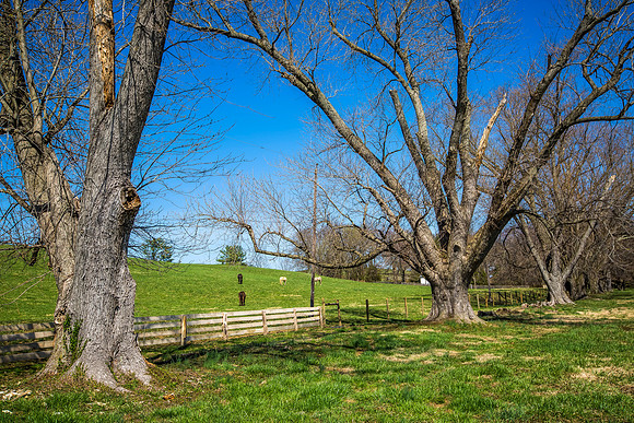37-20140412-5D3M1798-68