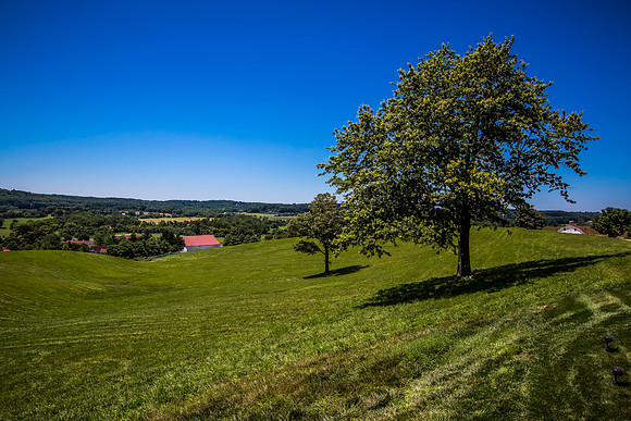 91-20140725-5D3M4220-181