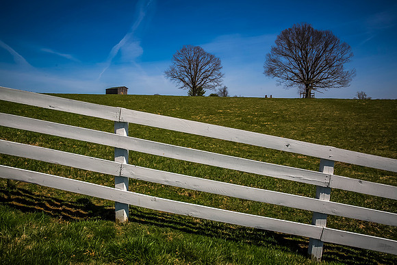 28-20140412-5D3M1689-20