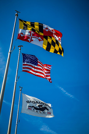 25-20140412-5D3M1626-1