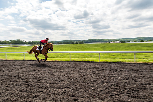 53-20140517-IMG_4288-101