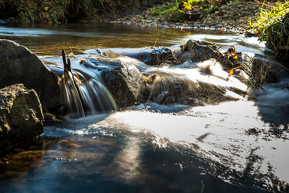 103-35 -20141017-5D3M4702