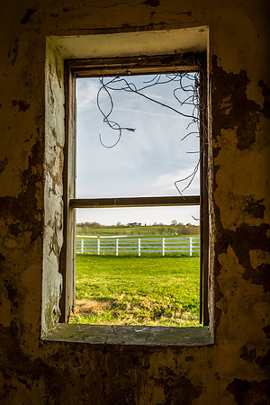 19-20140414-5D3M2011-16