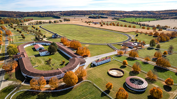 10-20241027-DJI_0528