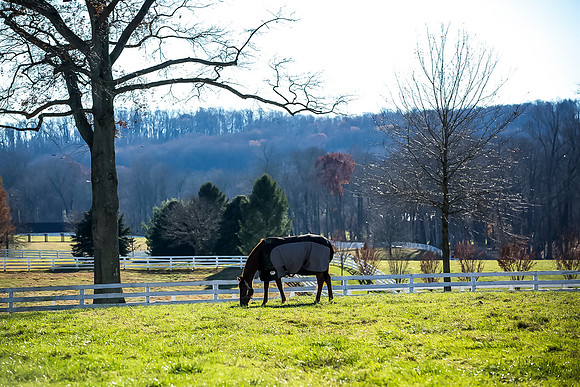 3-20131119-1O5A7083-480