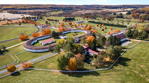 7-20241027-DJI_0519